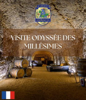 FR - Visite Odyssée des...